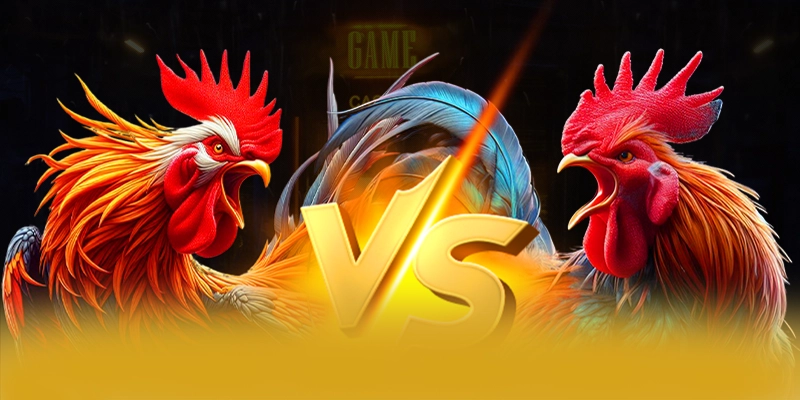 Tìm hiểu 8XBET - Sân chơi uy tín hiện nay Tìm hiểu 8XBET - Sân chơi uy tín hiện nay