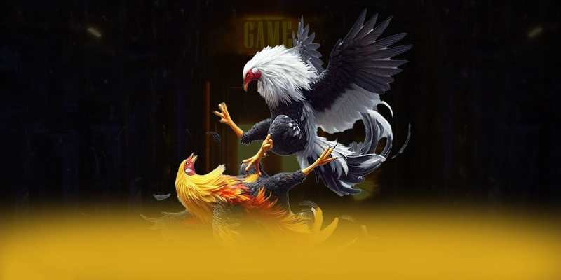 W88 - Sảnh game sở hữu kho game phong phú hiện nay